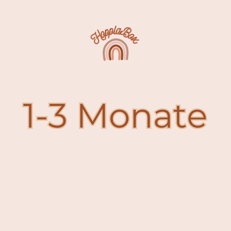 HopplaBox 1-3 Monate